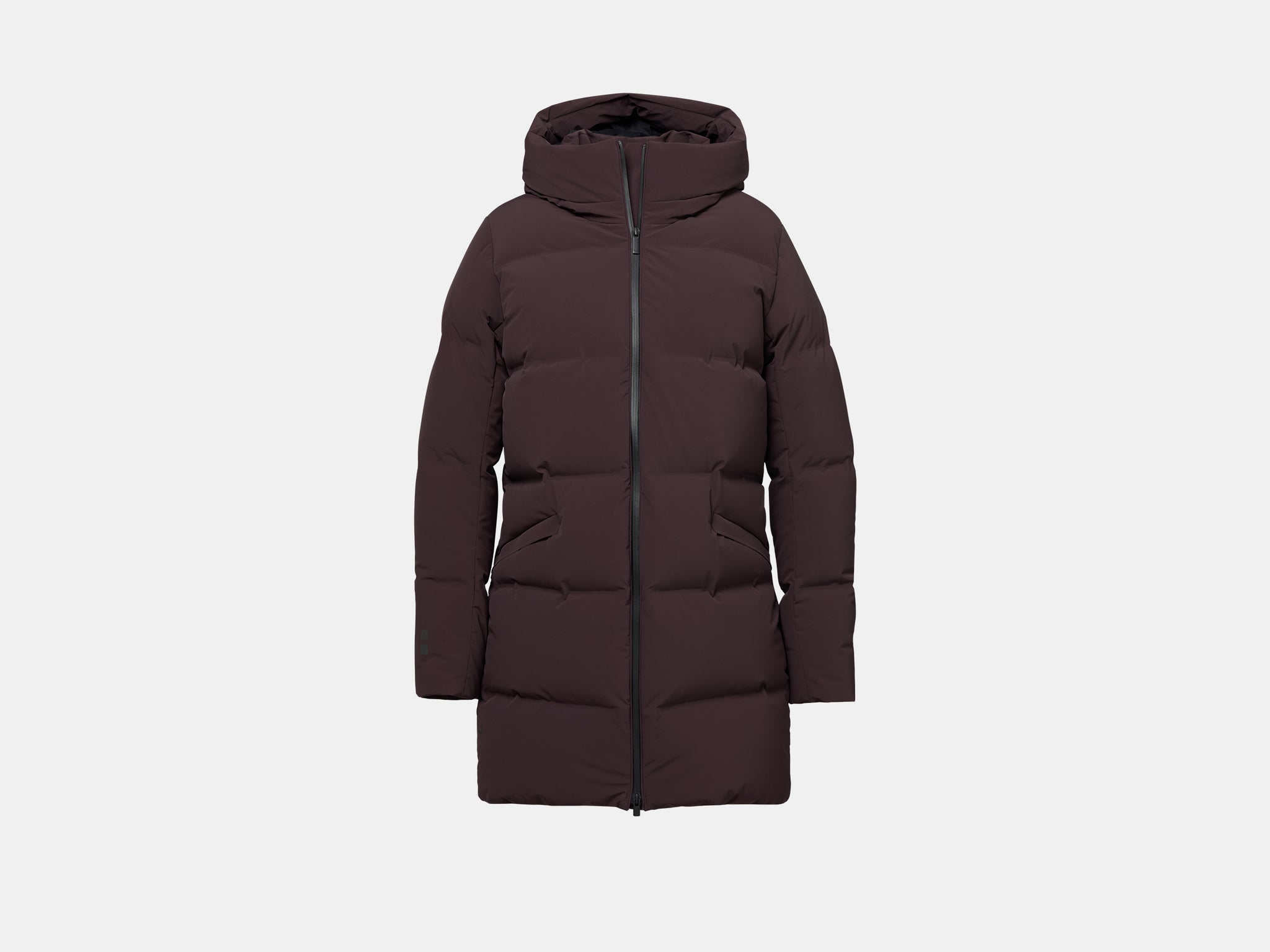 Chocolate Plum