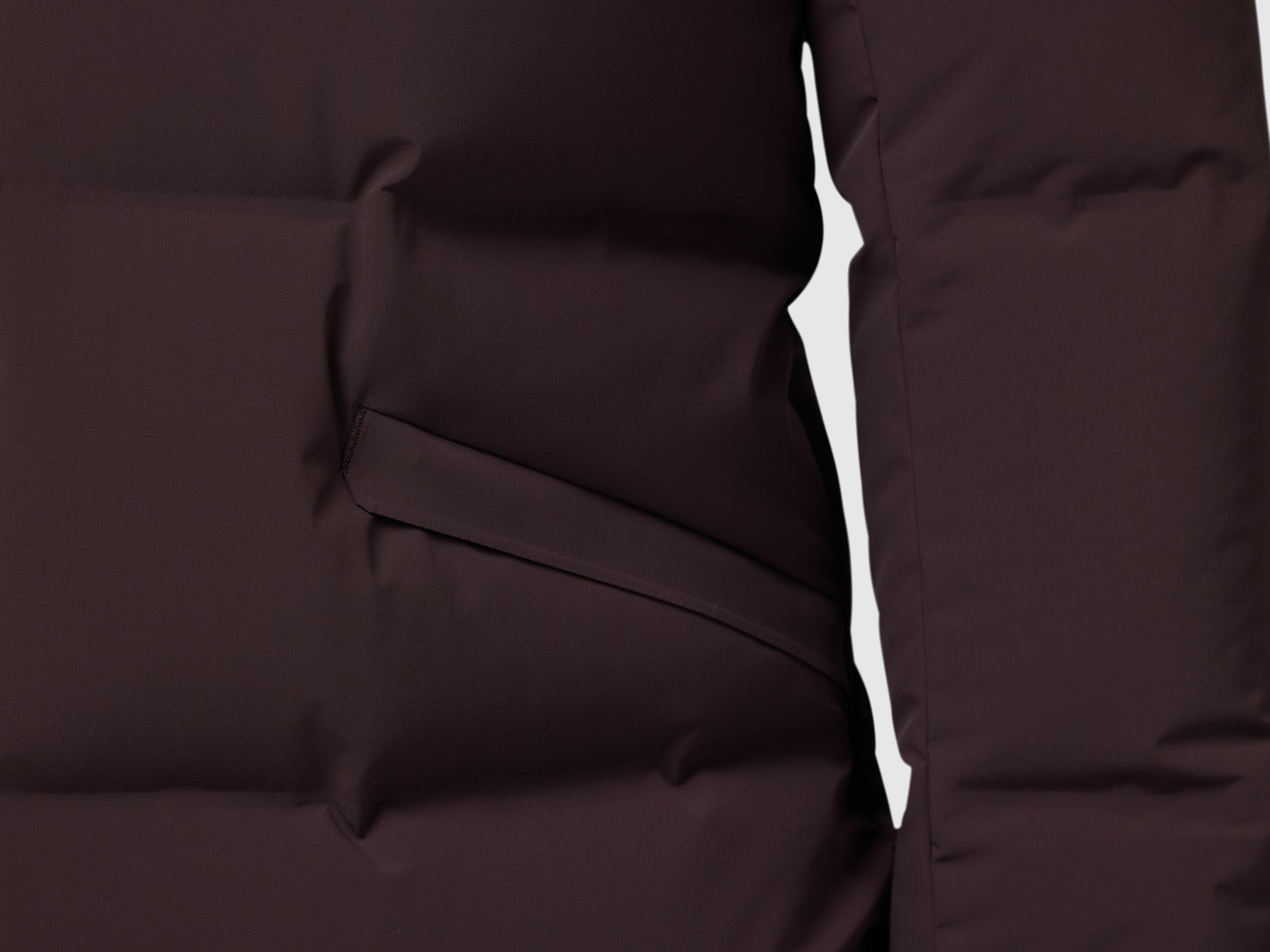 Chocolate Plum