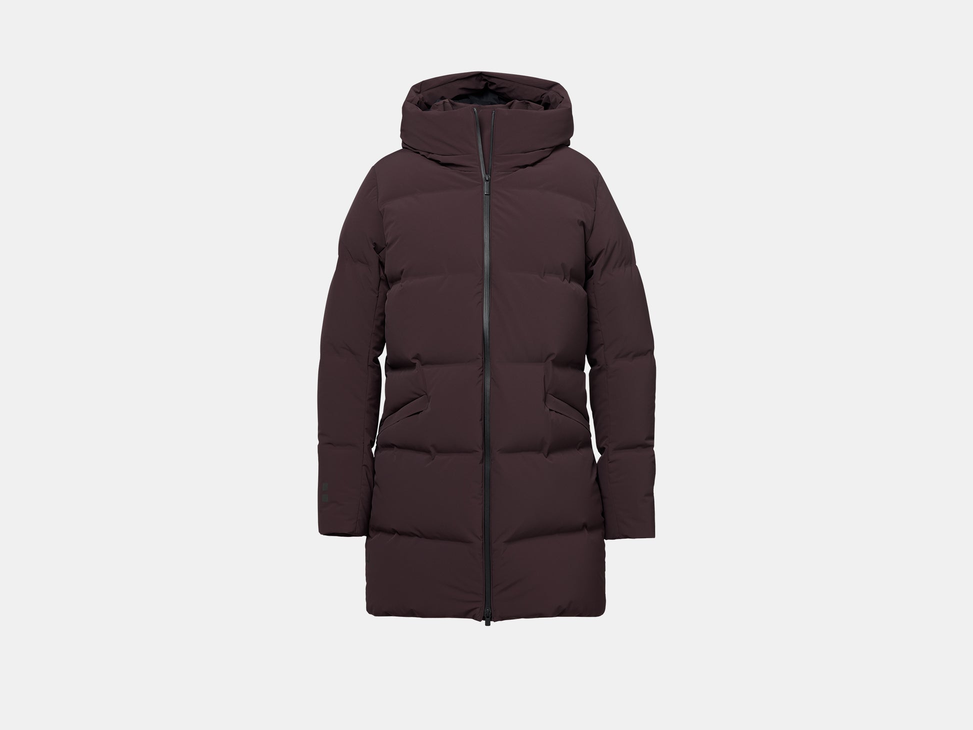Chocolate Plum