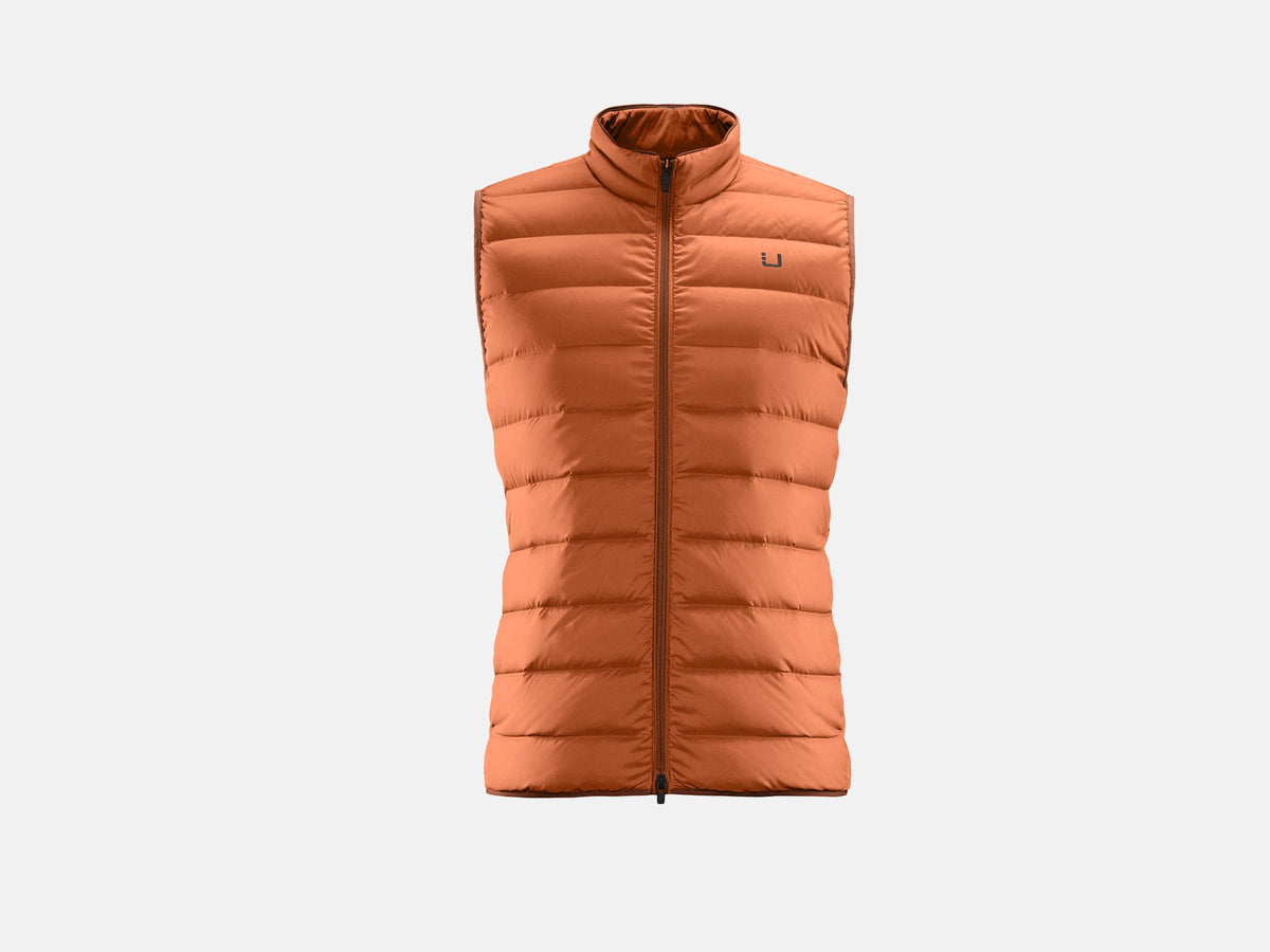 cinnamon orange
